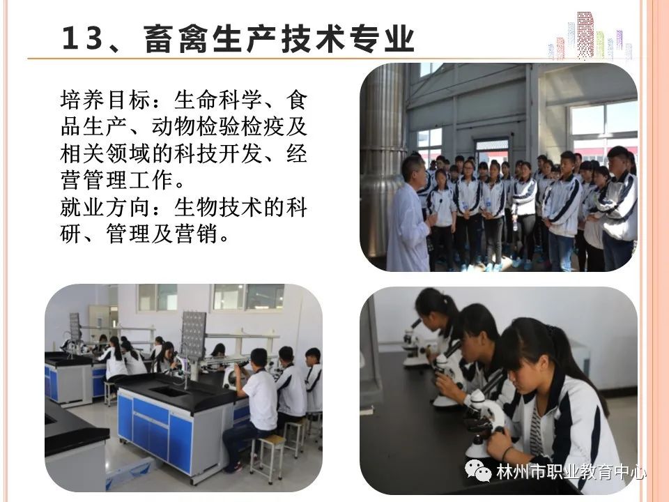 2021年林州市职业教育中心招生简章(图)(15) 2021年林州市职业教育中心招生简章(图)(15)