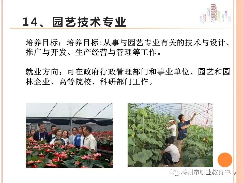 2021年林州市职业教育中心招生简章(图)(16) 2021年林州市职业教育中心招生简章(图)(16)
